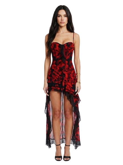 Gothic Floral High-Low Corset Maxi Dress